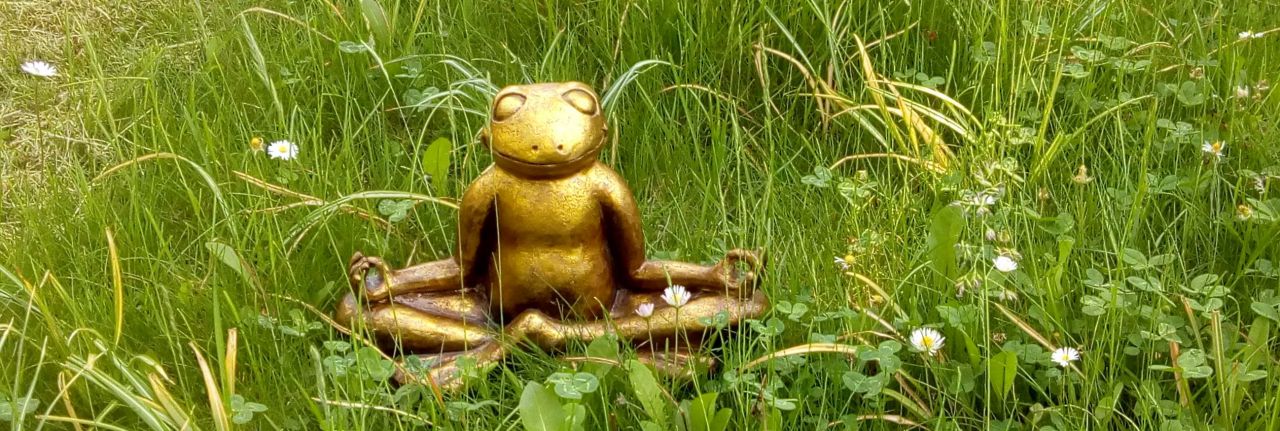 Yoga im Park